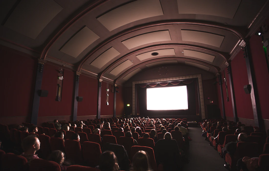 Audience watching a screening in a cinema